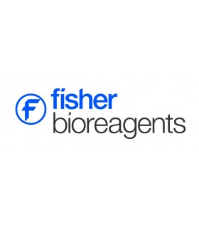 DNA Marker: Fisher BioReagents* exACTGene*: 50 bp Mini Ladder: 100 Lanes