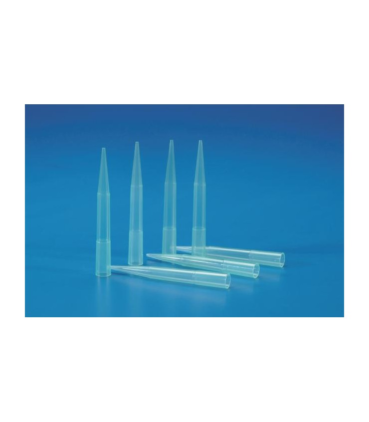 Pipette Tips 1000ul